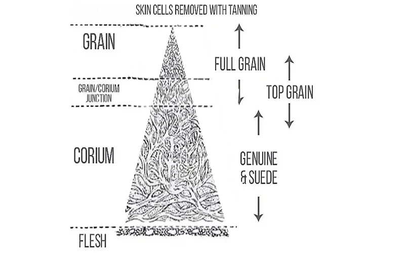 Full Grain Leather or Top Grain Leather: Which one is the best?