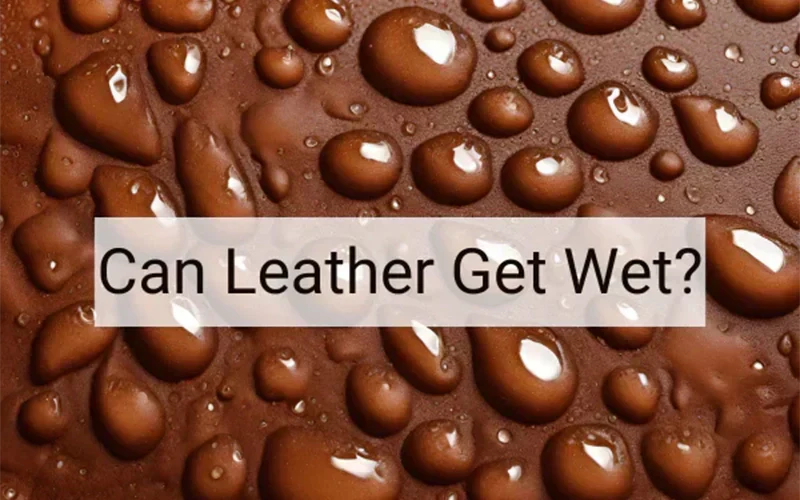 Can Leather Get Wet? Understanding the Intricacies of Leather Care