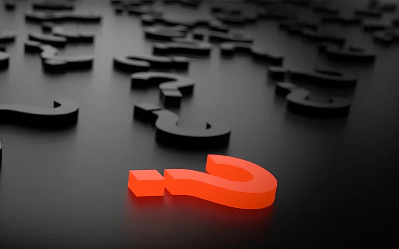 All About Leather? Ask Shalu!